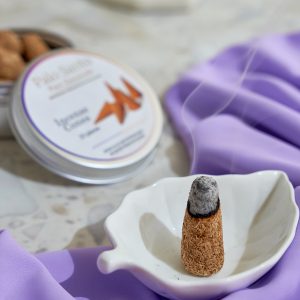 Palo Santo Incense Cones